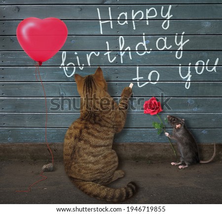 A beige cat writes Happy birthday to you in chalk on the wooden fence.