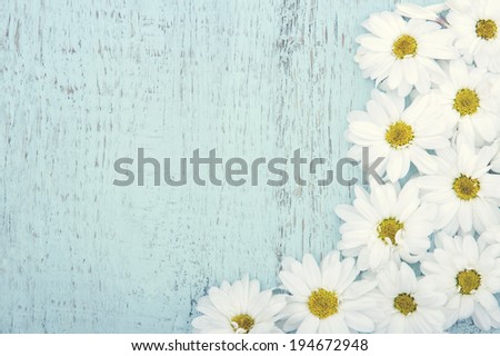 Light blue wooden vintage background with copy space and white daisies