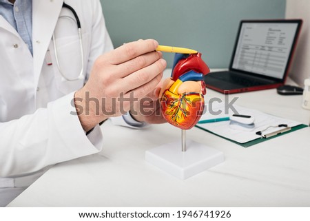 Doctor showing a structure and anatomy of a human heart using a medical teaching model of a heart, pointing with a pen to aorta Royalty-Free Stock Photo #1946741926