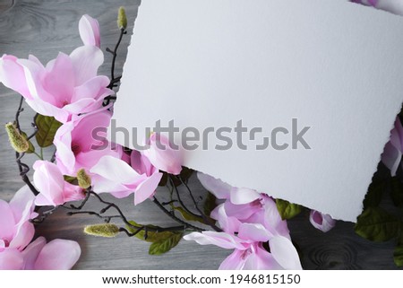 Delicate pink magnolia flowers on a wooden surface. Background for invitations, announcements, inscriptions.