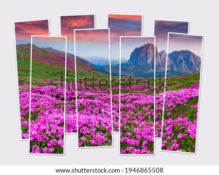 Isolated eight frames collage of picture of colorful summer sunrise in the mountains. Stunning morning view of blooming rhododendron flowers. Mock-up of modular photo.
