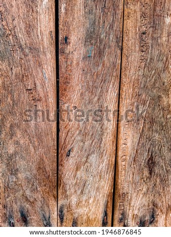 Wood texture background with the cross section of a cut log, surface old natural pattern
