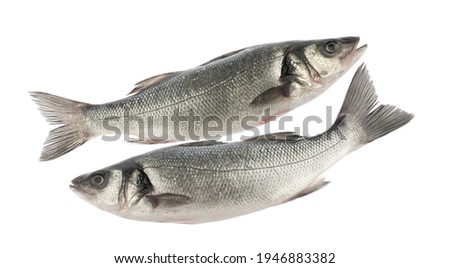 sea bass fish isolated without shadow on white background Royalty-Free Stock Photo #1946883382