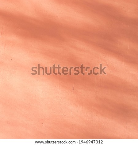 Leaves Shadow Overlay On Orange Wall Texture Background. Abstract Natural Sun Light Foliage Backdrop. Nature Branch Shadow Reflection On Plaster Stucco Wall.