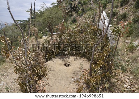 A pit latrine built around a thorny hedge for protection in rural Kenya. Royalty-Free Stock Photo #1946998651