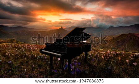 Piano in nature at sunset. Arte e instrumentos musicales.  Royalty-Free Stock Photo #1947086875