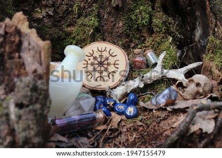 Magical wooden algiz shield hidden inside of a tree Royalty-Free Stock Photo #1947155479