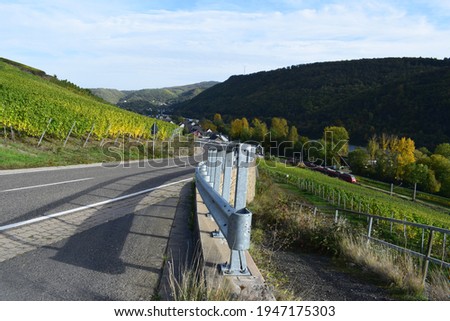 serpentine road through the vineyards into Mosel valley