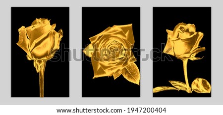 Golden rose with black background luxurious abstract art