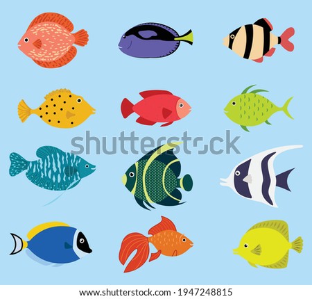 Tropical fish colorful water sea ocean blue deep nature animal aquarium underwater marine exotic fauna life aquatic