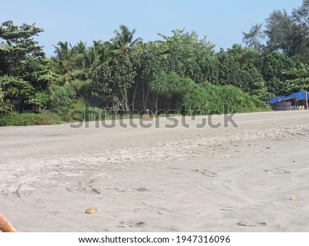 Pictures of nature including greenery and sea