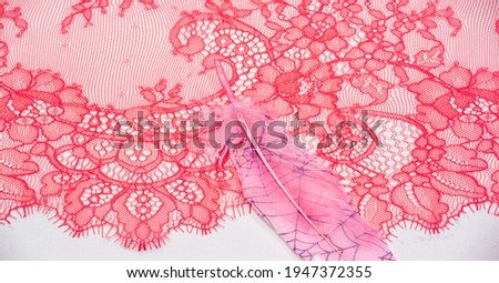 lace fabric. bird feather. red on a white background. Delicately crafted from yarn or thread, lace fabrics have historically embodied class and beauty since their inception in the 16th century.
