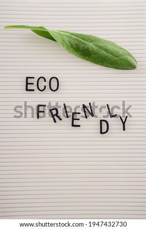 Zero waste concept, pros and cons. Black letters on a peg board with message text Eco friendly and a fresh green leaf on white background. Flat lay.