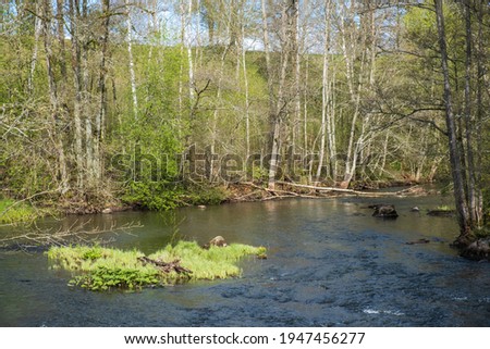 River in a valley with lush trees in spring