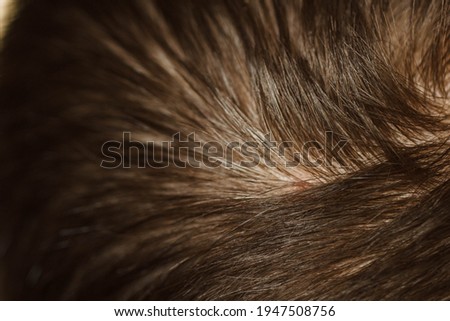 Top of the head, dark hair. Shampoo, oils, hair styling. Macro photo. Loupe split ends