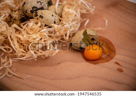 fresh quail eggs on a wooden board, quail eggs for a delicious easter holiday, raw homemade quail egg smashed on a kitchen board, raw yolk and egg white, cooking healthy food