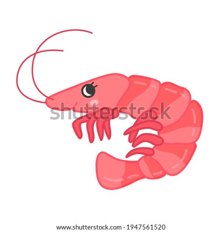 Collection of marine animals in cartoon style. Vector illustration of shrimp.
