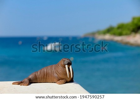 A toy walrus resting on the stone on the beach