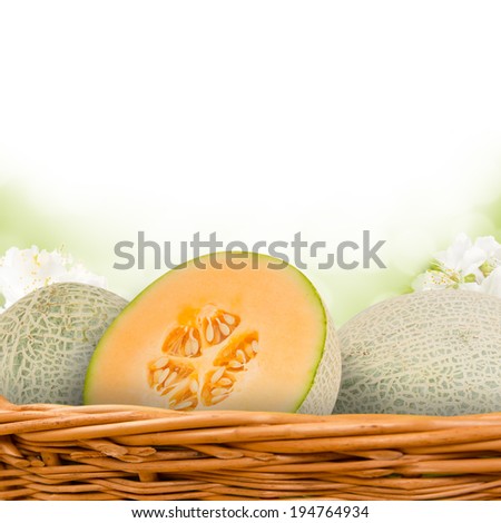 Photo of canteloupe melon in basket with blossom background