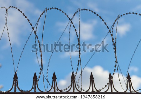 Barbed wire on fence, steel grating fence, metal fence wire. Coiled razor wire with sharp steel barbs. Private area, protection, safety and security concept.