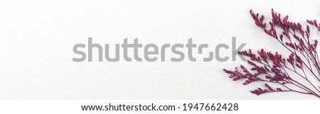 Bunch if dried flower banner composition on a white background, copy space, flat lay and top view photo