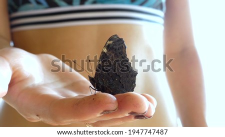 Butterfly sits on the girl's arm