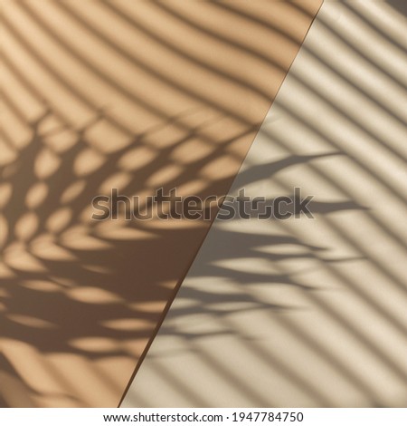 Palm leaf shadow on geometric pastel beige background with louver shadows