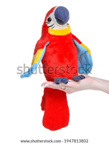 Soft toy parrot in hand on white background isolation
