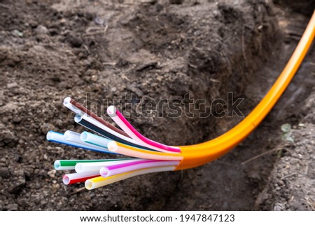 optical fiber for very high speed internet Royalty-Free Stock Photo #1947847123