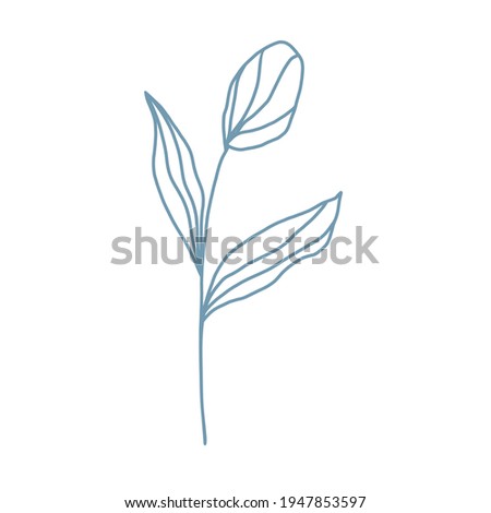 Vector blue lineart flower clipart isolated on white background. Subtle botanical illustration. Trendy floral design element for wedding, cards, invitations, postcards, greetings, posters, decoration.