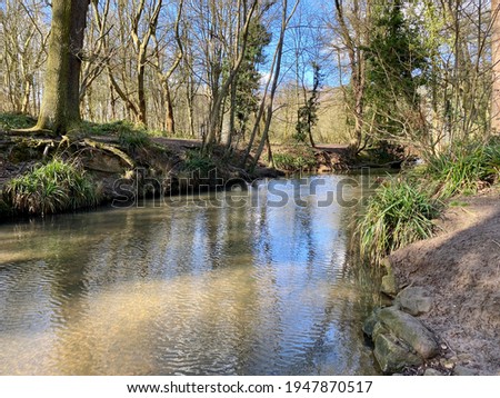 River winding and flowing through British woodland in the warm spring sunshine.