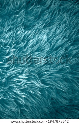 Azure blue furry texture backdrop close up. Texture of wool skin underwater. Abstract animal navy blue fur background. Fluffy turquoise pattern for design. Fabric copy space colored background