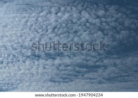 Puffy clouds on blue sky. Cloudy atmosphere. Clouds textures background. Beautiful cloudscape. White and blue pattern.