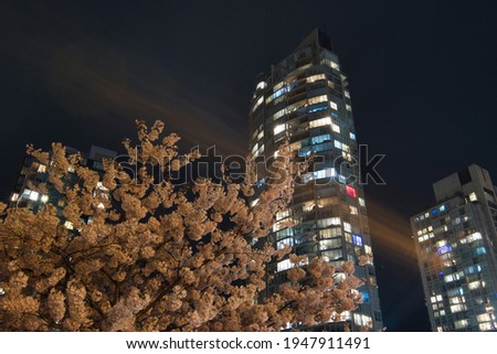 Night cityscape with cherry blossom park and buildings background.  