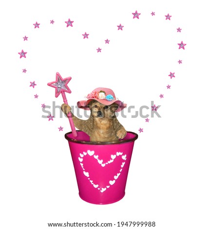 A beige dog in a straw hat with a magic wand  is in a pink pail. White background. Isolated.