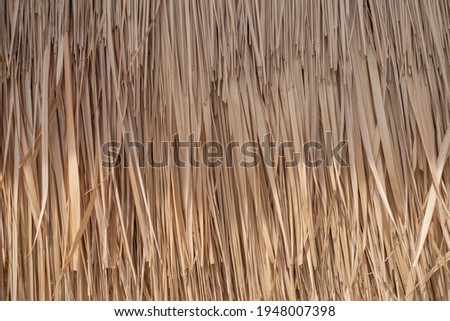 Dry palm tree wall in tropical construction. Dry old palm leaves, background texture. High quality photo
