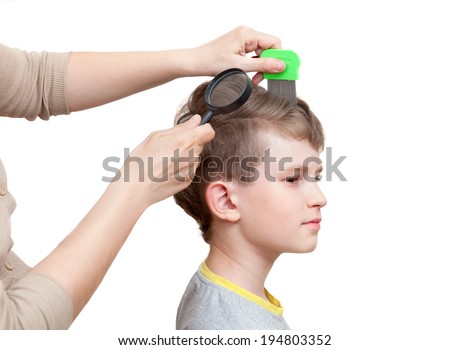 Mother combs out nits at the schoolboy son
