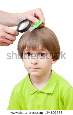 Search of nits in the child hair