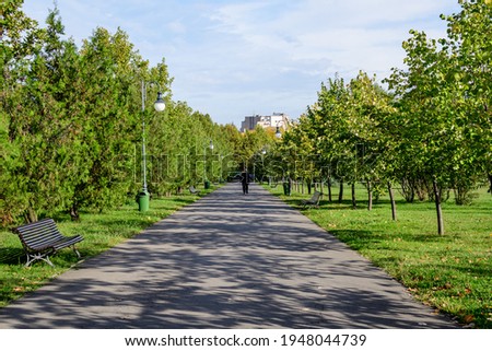 Landscape with grey alley and large green oak trees and grass in a sunny autumn day in Parcul Izvor (Izvor Park) in Bucharest, Romania