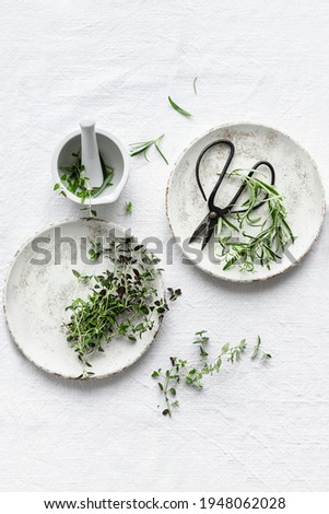 Thyme and rosemary leaves flat lay food photography