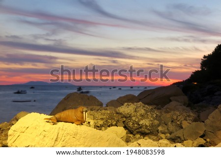 A walrus figure sitting on the rocks at the beach at sunset