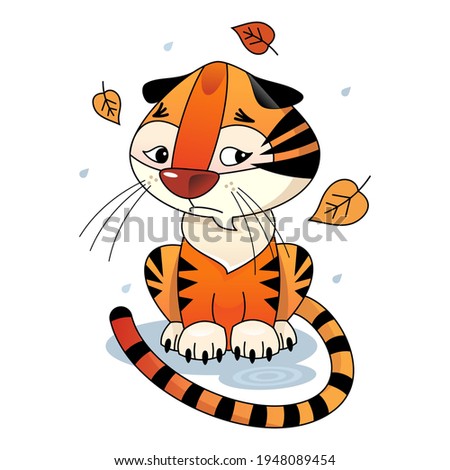 sad tiger cub sits in a puddle of water, in rainy weather and yellow leaves fly around, drawn in a cartoon style on a white background, an isolated object 