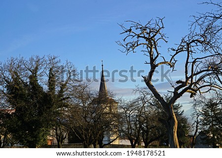 The steeple of the church of Vullierens with bare trees in the foreground