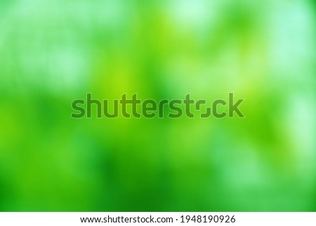 Abstract blurry green yellow for background.