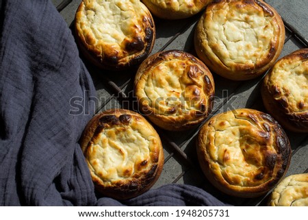 Open pies with cottage cheese close up.  Traditional Russian bakery. Freshly baked pastry items top view photo.  