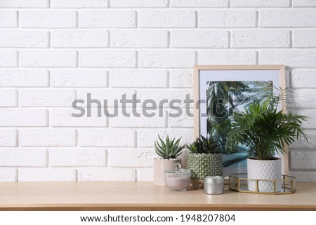 Beautiful Chamaedorea, Aloe and Haworthia in pots with decor on wooden table near white brick wall, space for text. Different house plants