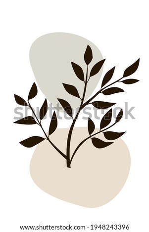 tropical leaves. Outline Modern Boho Minimalist Style. Vector Illustration. For printing on t-shirt, Web Design, beauty Salons, Posters, creating a logo