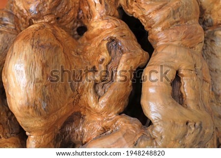 Chestnut root texture, closeup of photo