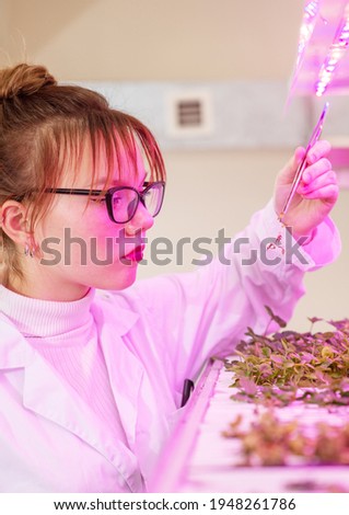 In the biological laboratory, a girl assistant examines a sprout of hydroponically grown strawberries under special lamps. Eco-friendly plants for farms