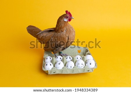Painted eggs in an egg carton with a brown chicken on it, Easter